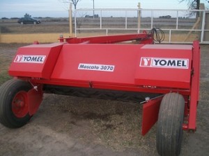 yomel moscato